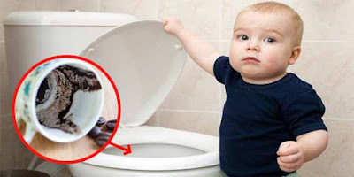 Trik Mudah Atasi Toilet Bau Dengan Ampas Kopi