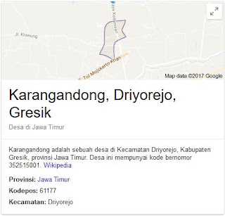 sedot wc gresik