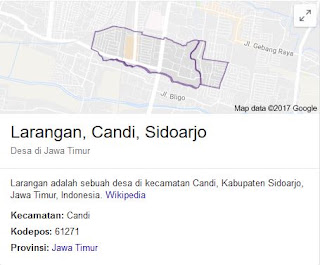 sedot wc larangan