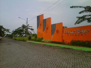 sedot wc murah menganti