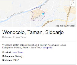 sedot wc murah