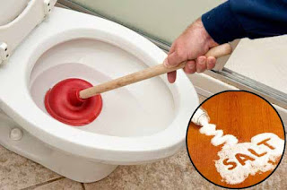 Cara Mudah Atasi WC Mampet dan Saluran AIR Macet