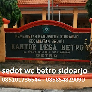sedot wc sedati sidoarjo